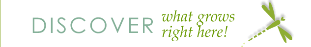 <Discover what grows right here!>